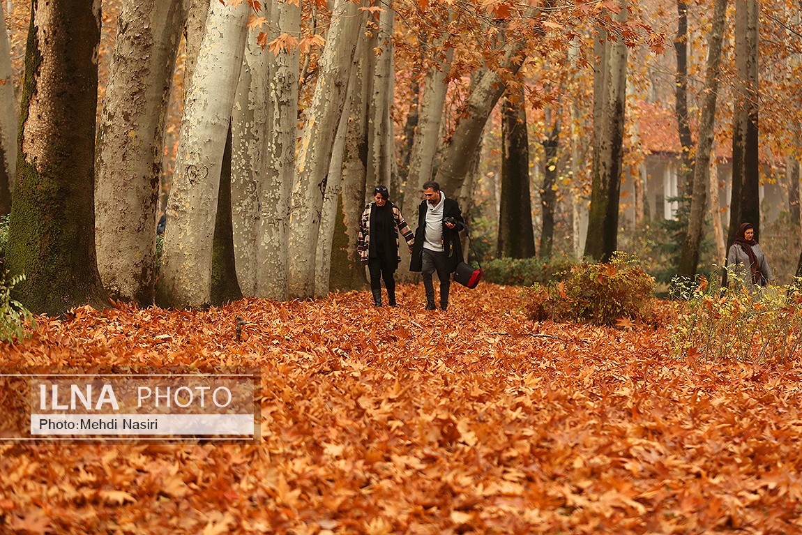 تصاویر: پاییز در سعدآباد
