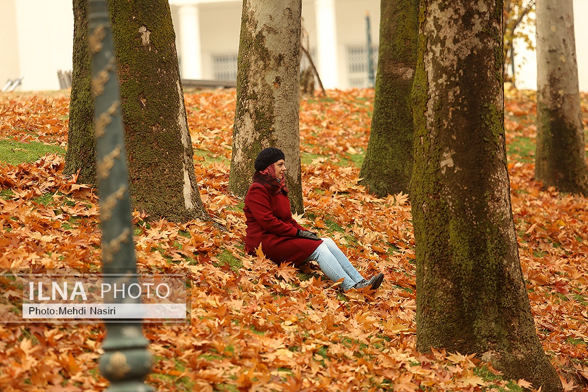 تصاویر: پاییز در سعدآباد