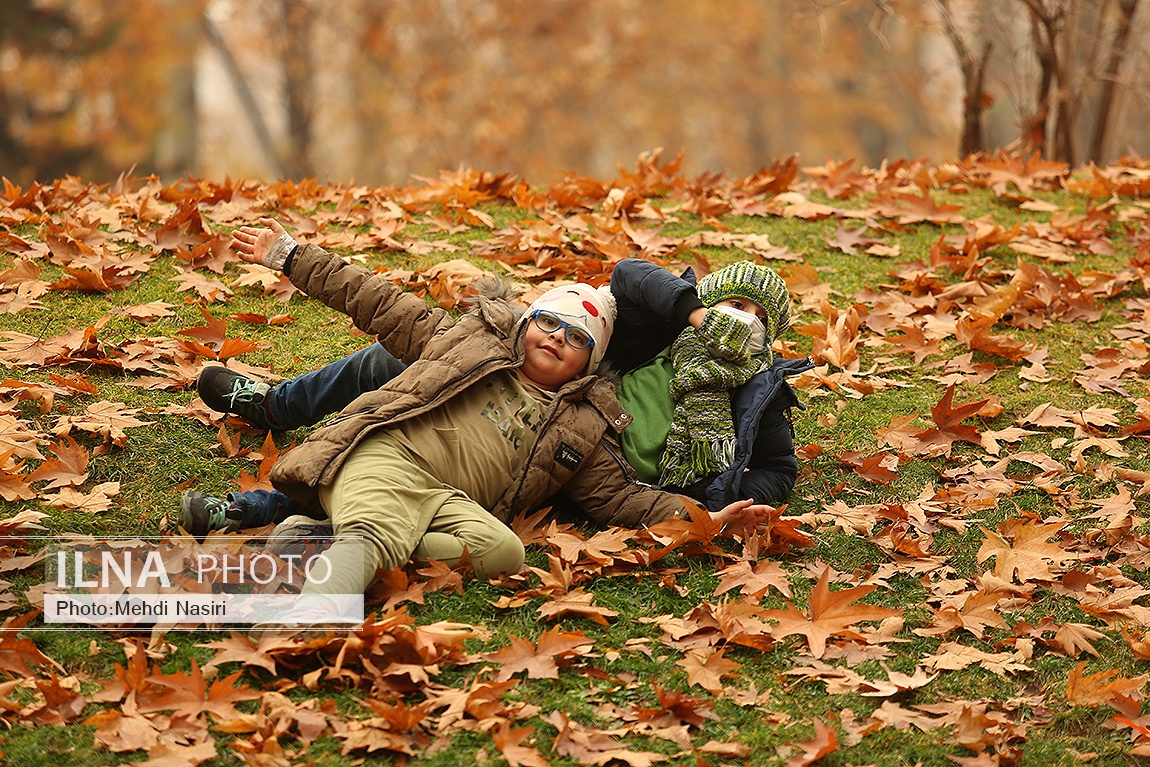 تصاویر: پاییز در سعدآباد