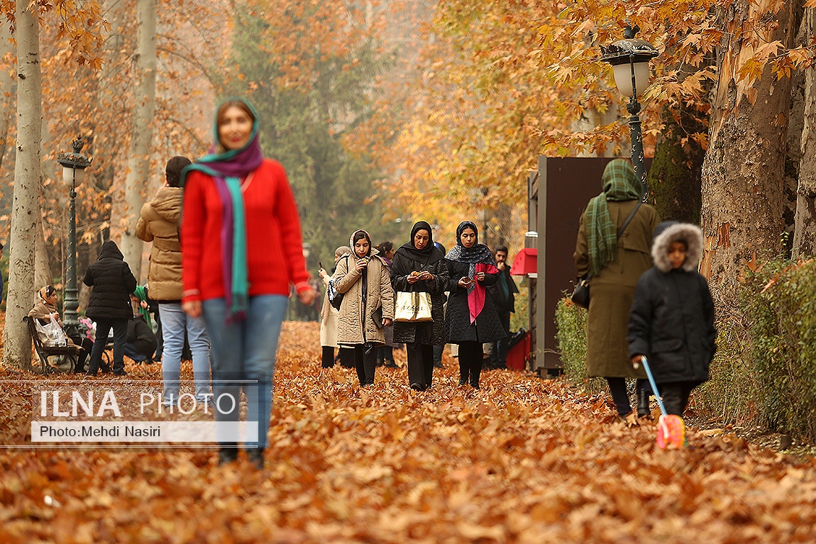 تصاویر: پاییز در سعدآباد