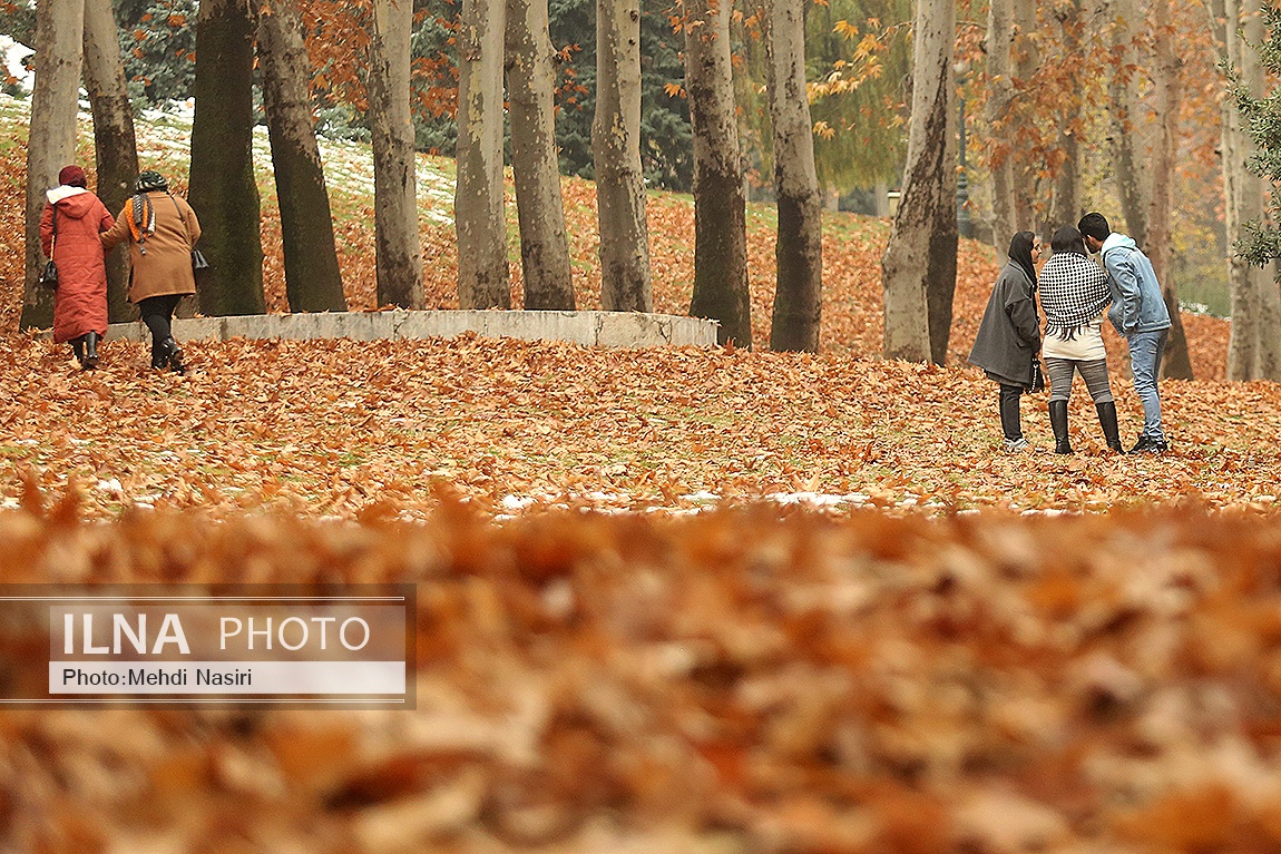 تصاویر: پاییز در سعدآباد