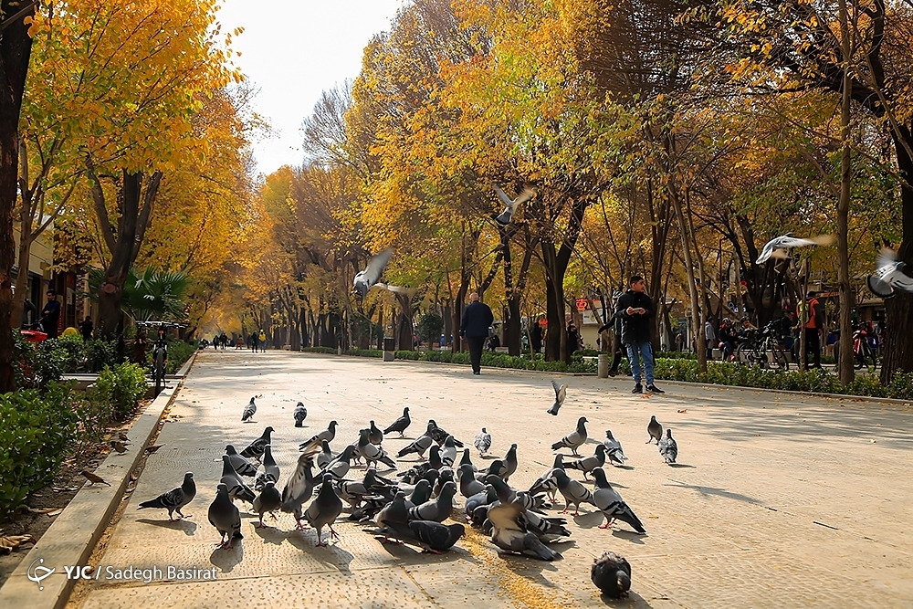 تصاویر: فصل خزان در نصف جهان