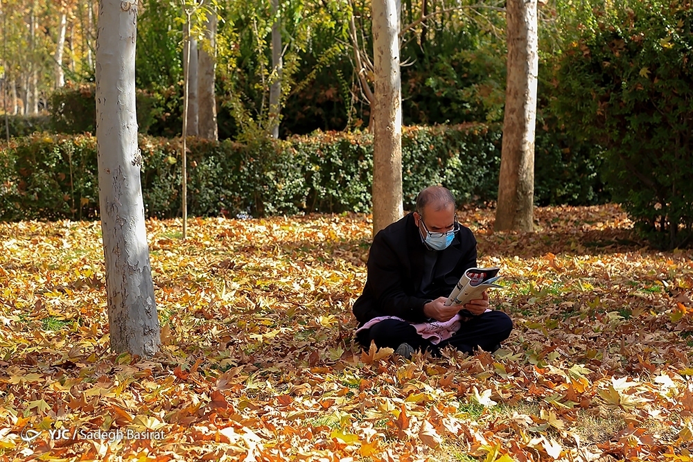 تصاویر: فصل خزان در نصف جهان