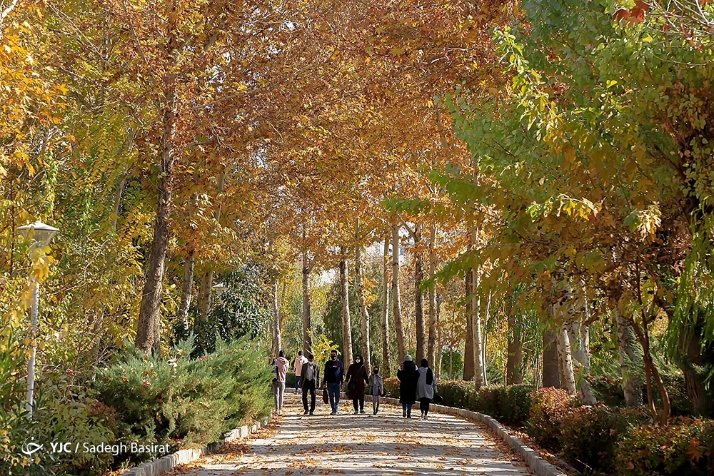 تصاویر: فصل خزان در نصف جهان