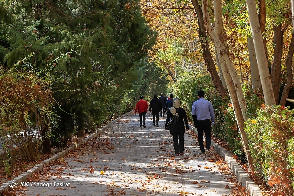 تصاویر: فصل خزان در نصف جهان