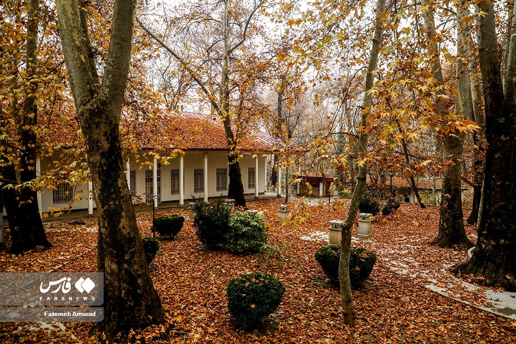 تصاویر: برگ‌ریزان پاییز