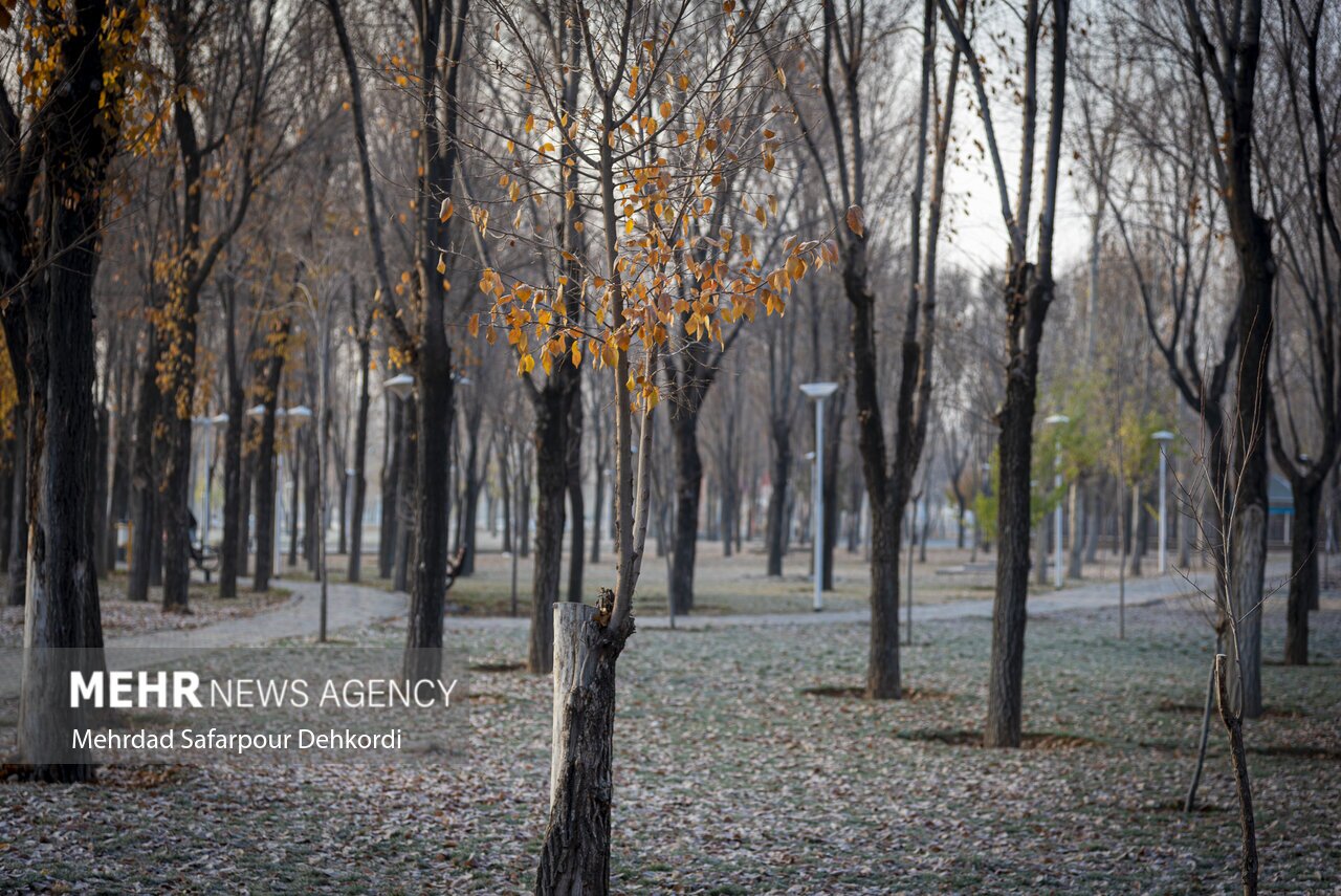 تصاویر: طبیعت پاییزی پارک ملت شهرکرد
