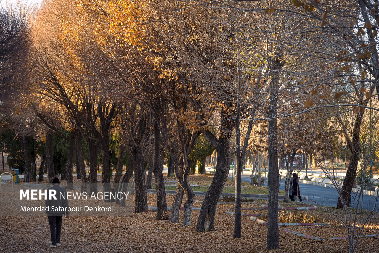 تصاویر: طبیعت پاییزی پارک ملت شهرکرد