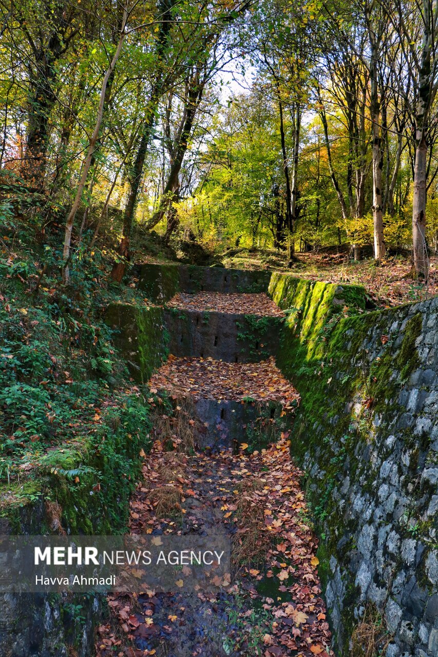 تصاویر: ریل گردی؛ پاییز راه آهن شمال