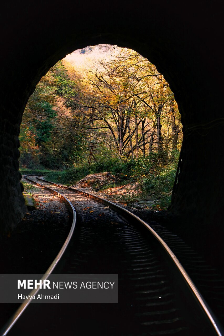 تصاویر: ریل گردی؛ پاییز راه آهن شمال