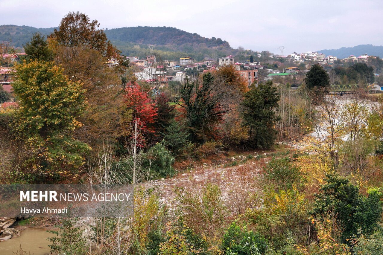 تصاویر: ریل گردی؛ پاییز راه آهن شمال