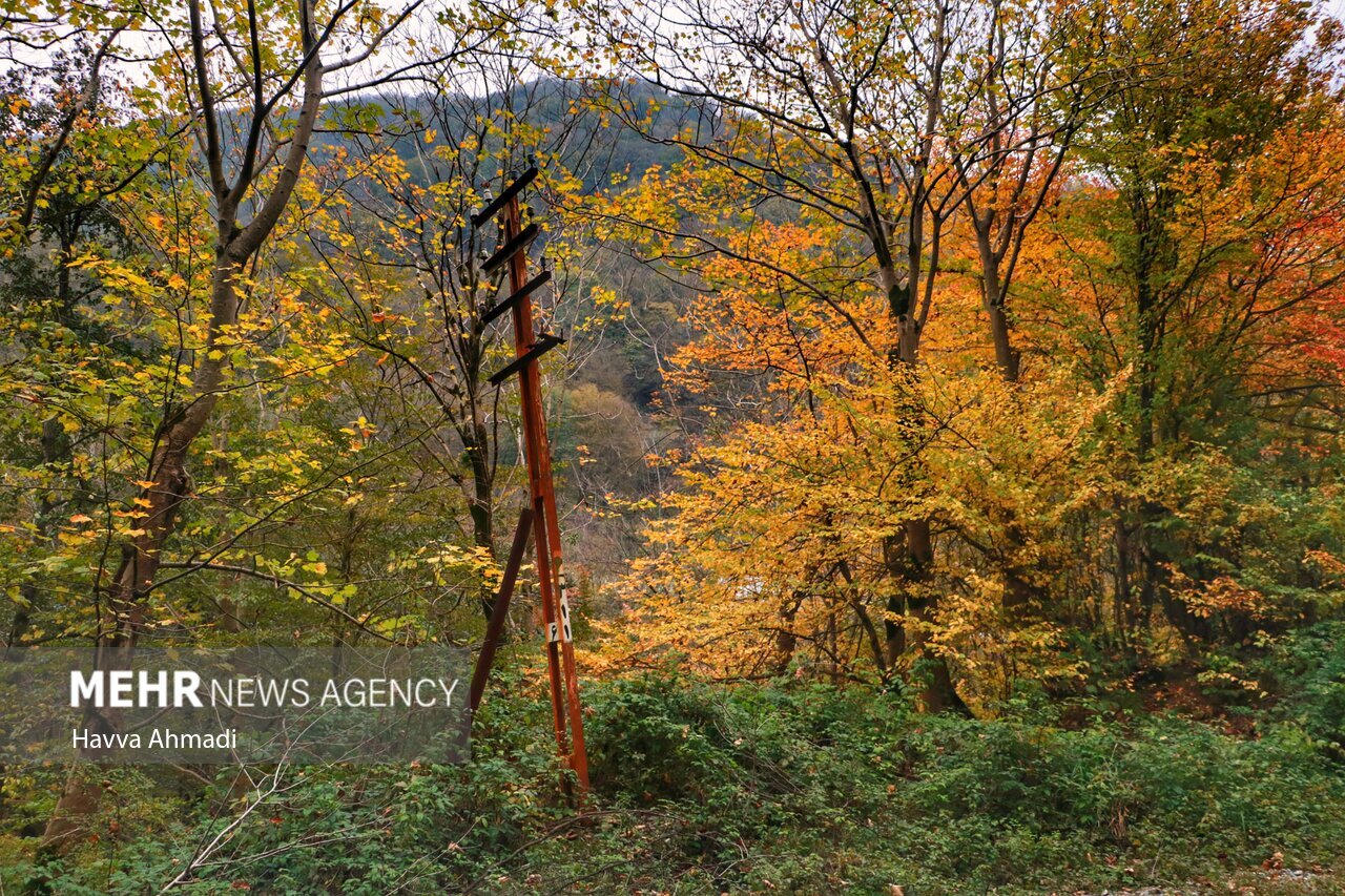 تصاویر: ریل گردی؛ پاییز راه آهن شمال