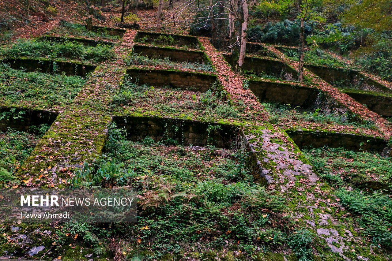 تصاویر: ریل گردی؛ پاییز راه آهن شمال