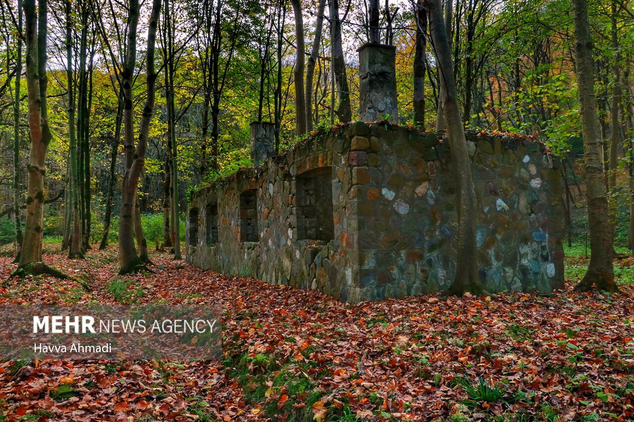 تصاویر: ریل گردی؛ پاییز راه آهن شمال