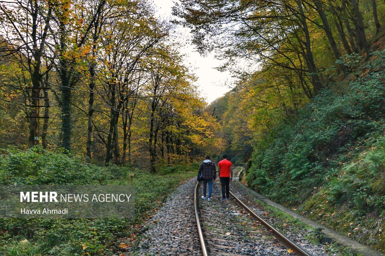 تصاویر: ریل گردی؛ پاییز راه آهن شمال