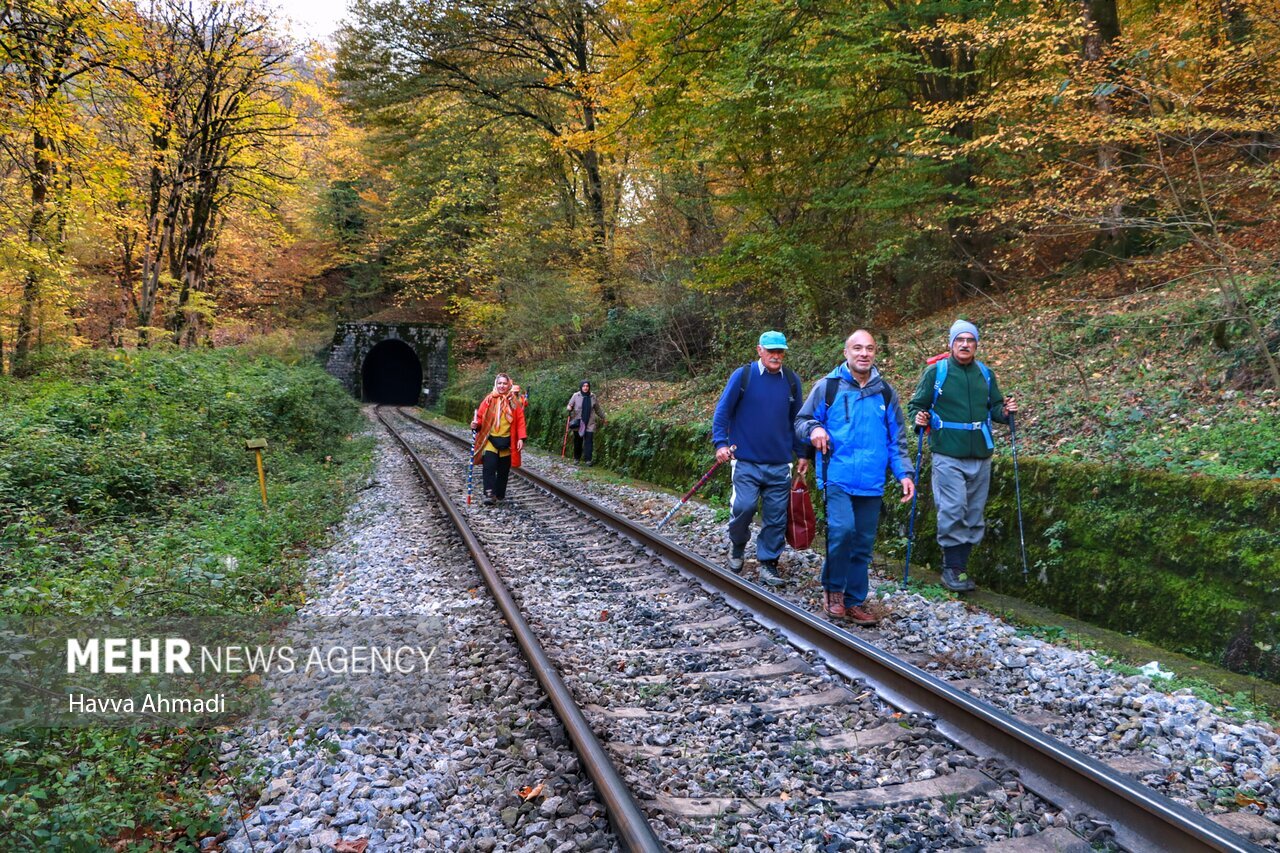 تصاویر: ریل گردی؛ پاییز راه آهن شمال