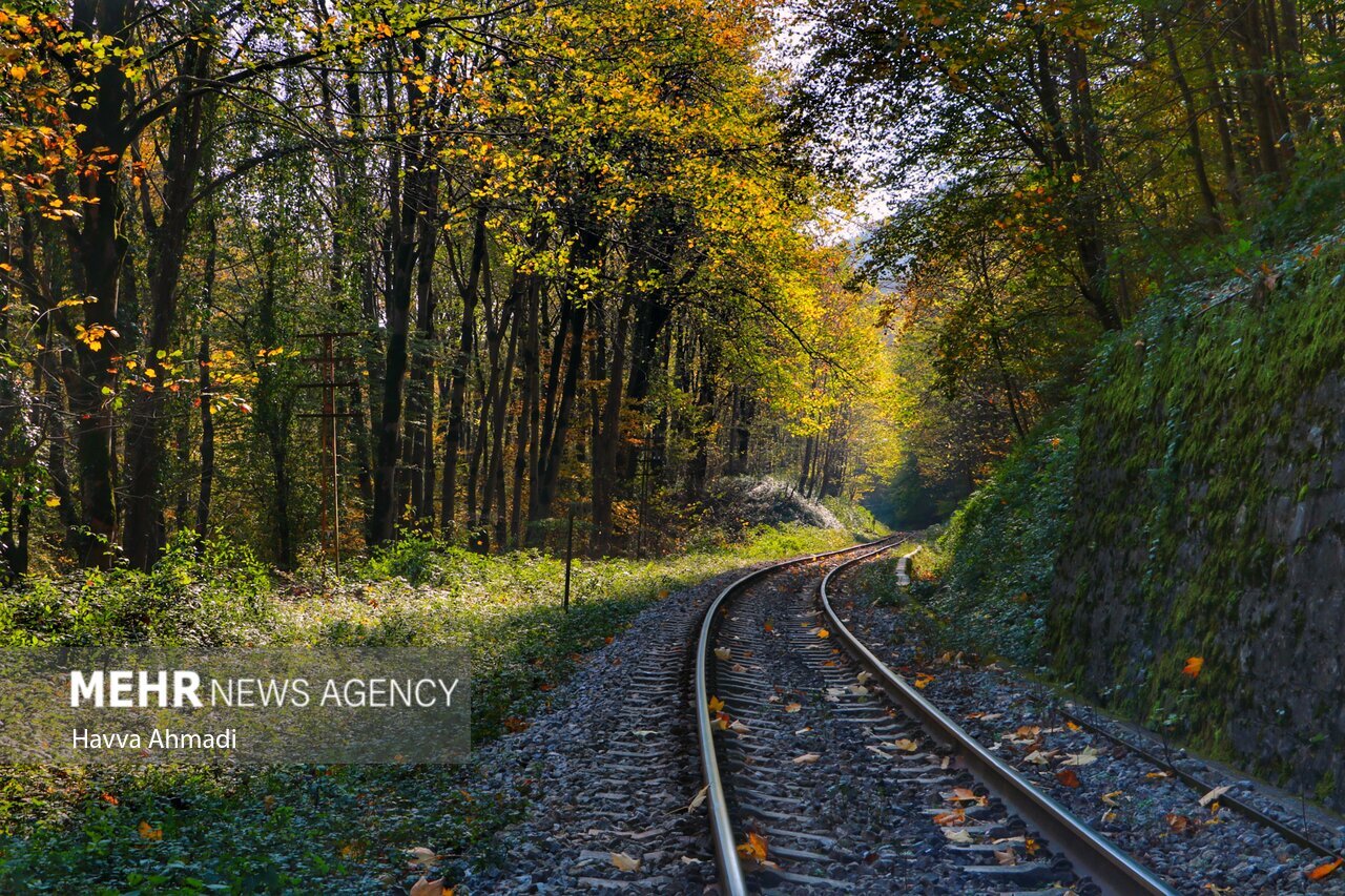 تصاویر: ریل گردی؛ پاییز راه آهن شمال