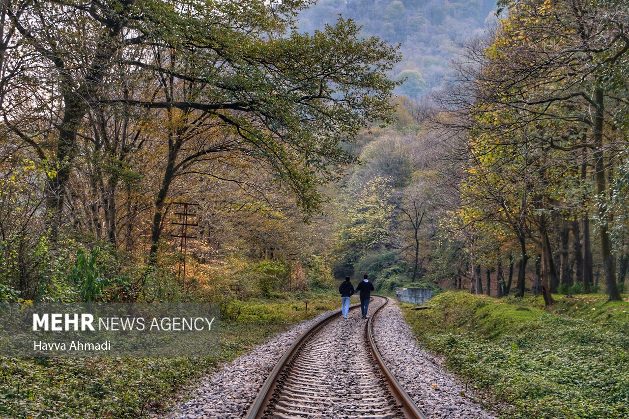 تصاویر: ریل گردی؛ پاییز راه آهن شمال