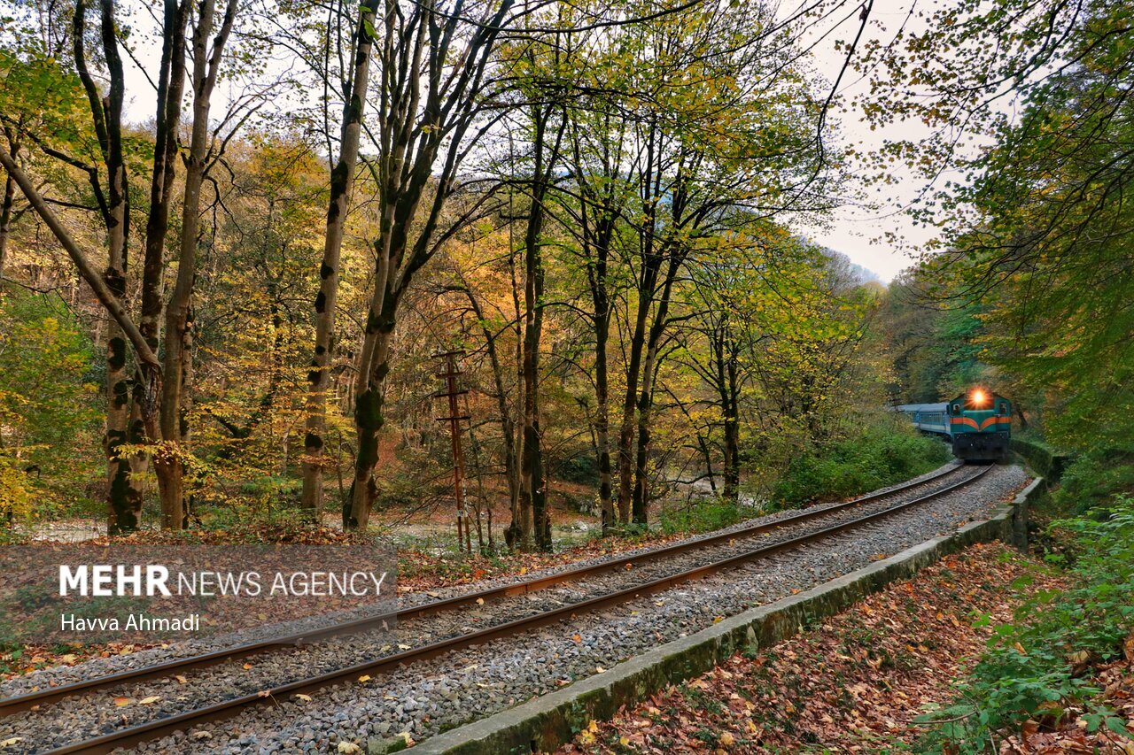 تصاویر: ریل گردی؛ پاییز راه آهن شمال