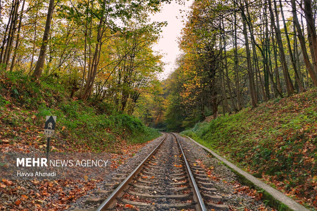 تصاویر: ریل گردی؛ پاییز راه آهن شمال