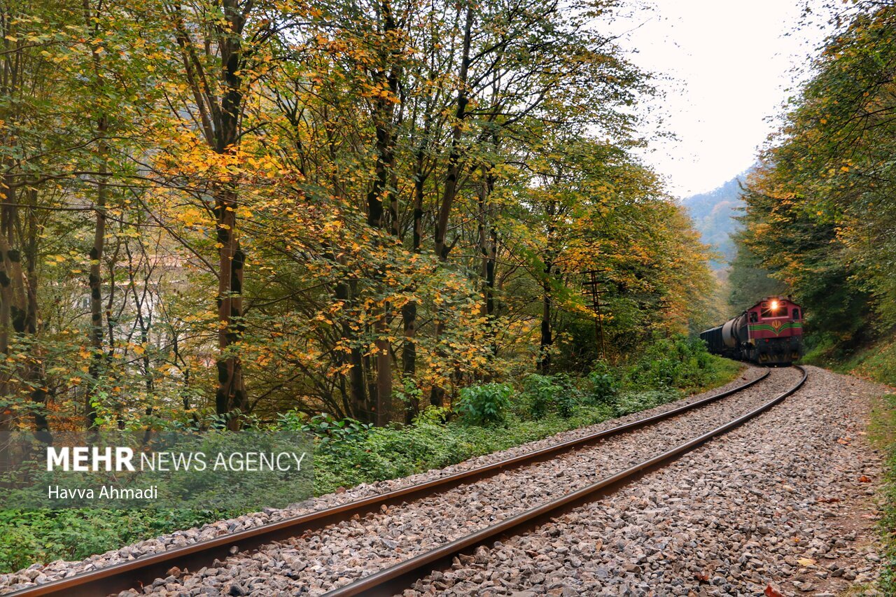 تصاویر: ریل گردی؛ پاییز راه آهن شمال