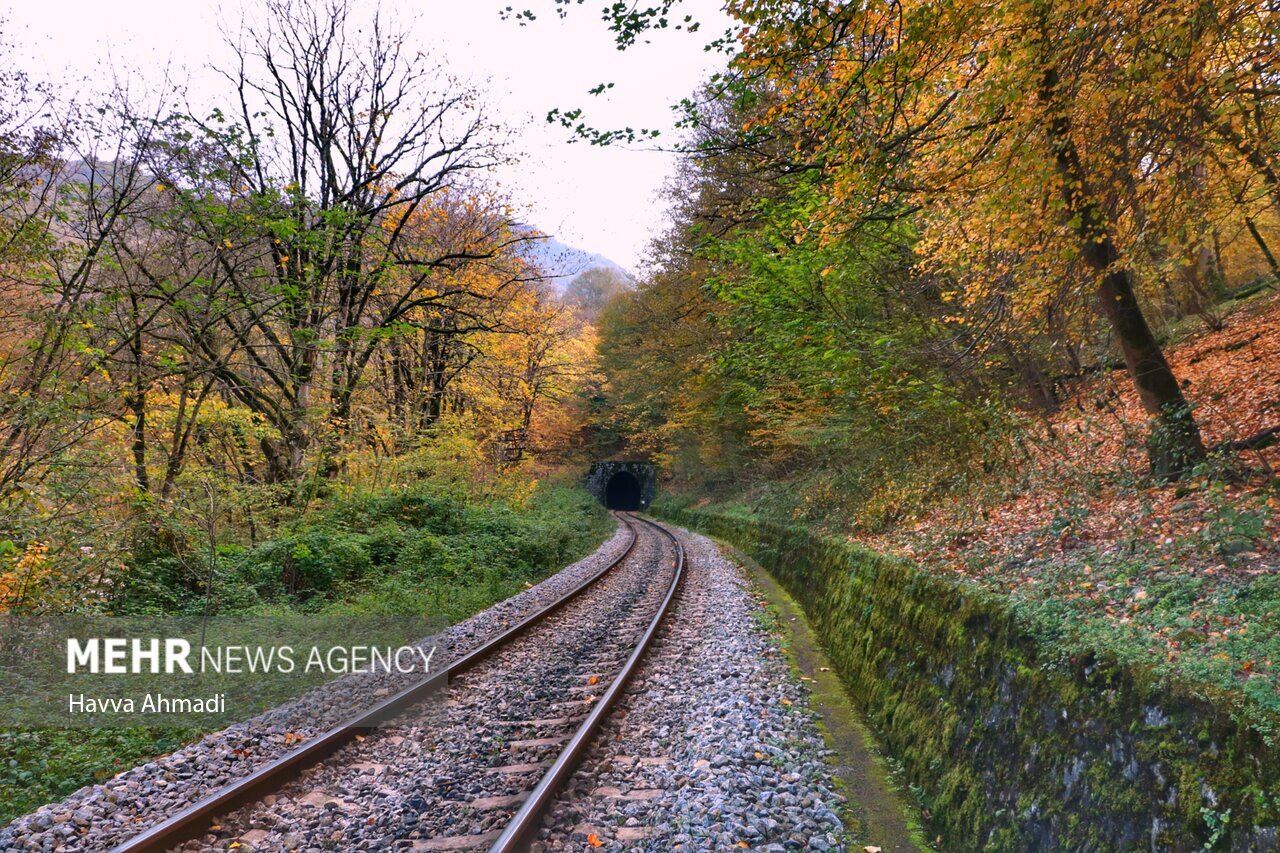 تصاویر: ریل گردی؛ پاییز راه آهن شمال
