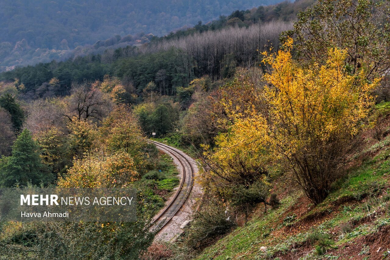 تصاویر: ریل گردی؛ پاییز راه آهن شمال