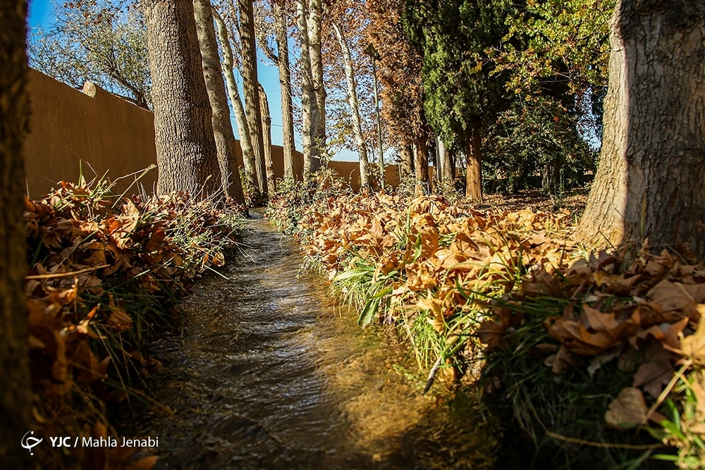 تصاویر: طبیعت پاییزی باغ شاهزاده ماهان کرمان