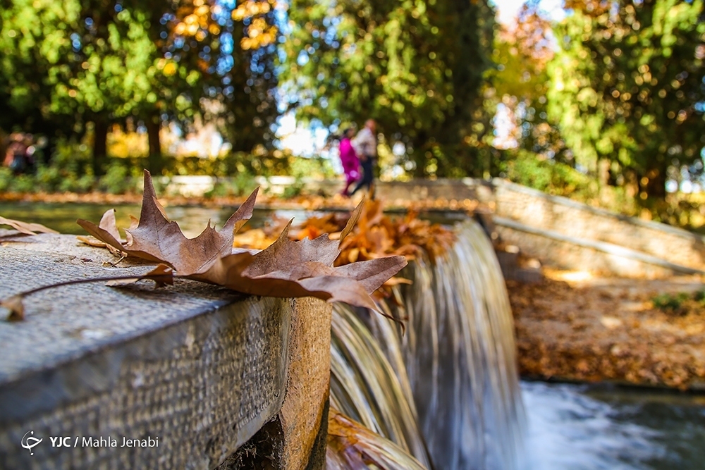 تصاویر: طبیعت پاییزی باغ شاهزاده ماهان کرمان