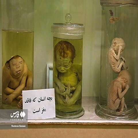 تصاویر: «موزه جانور شناسی» کرج