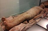 از ابتدای سال ۱۴۰۱ تا پایان مهر ۵۵ جسد مومیایی شده / هزینه برای هر جسد ۱۰ میلیون تومان است