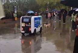 ویدیو / وقتی یک سگ جلوی خودرو بدون سرنشین چینی را می‌گیرد