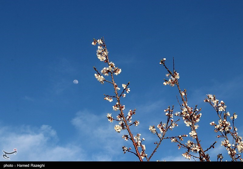 تصاویر: طبیعت بهاری ابهر