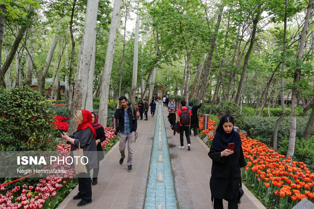 تصاویر: تور عکاسی از بوستان باغ ایرانی(لاله ها)