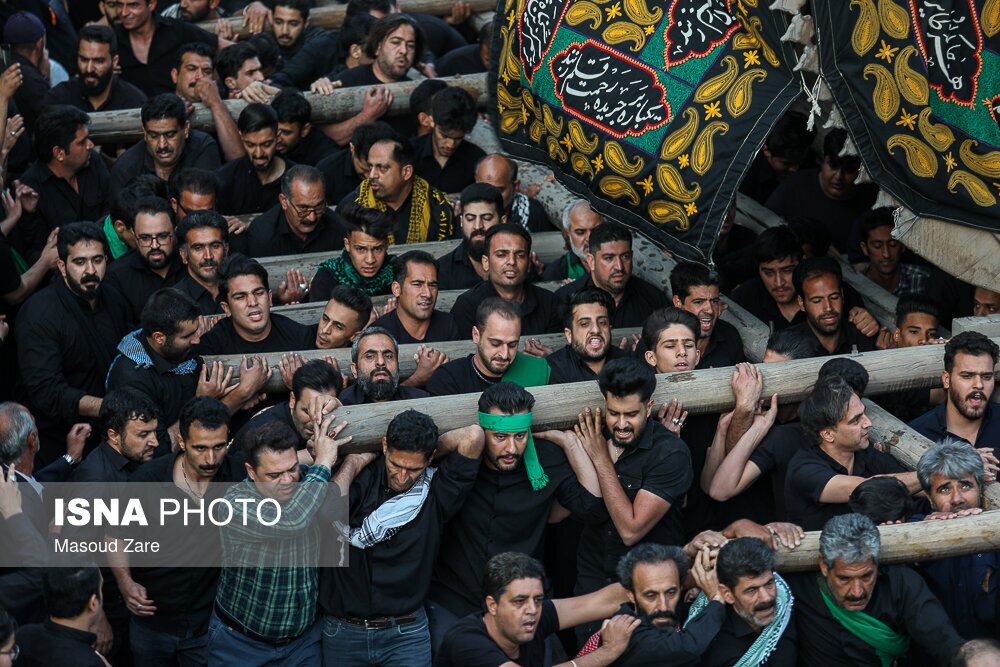 تصاویر: آیین نخل گردانی به مناسبت شهادت امیرالمومنین(ع) - یزد