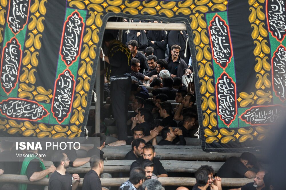 تصاویر: آیین نخل گردانی به مناسبت شهادت امیرالمومنین(ع) - یزد