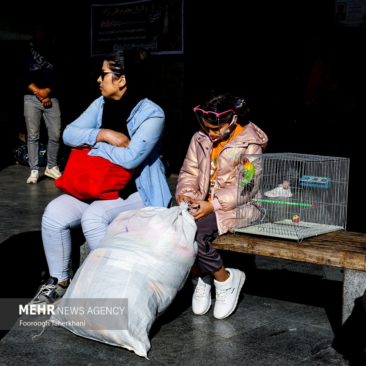 تصاویر: انعکاس