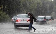 ویدیو / بارش شدید باران در خیابان ولی‌عصر تهران