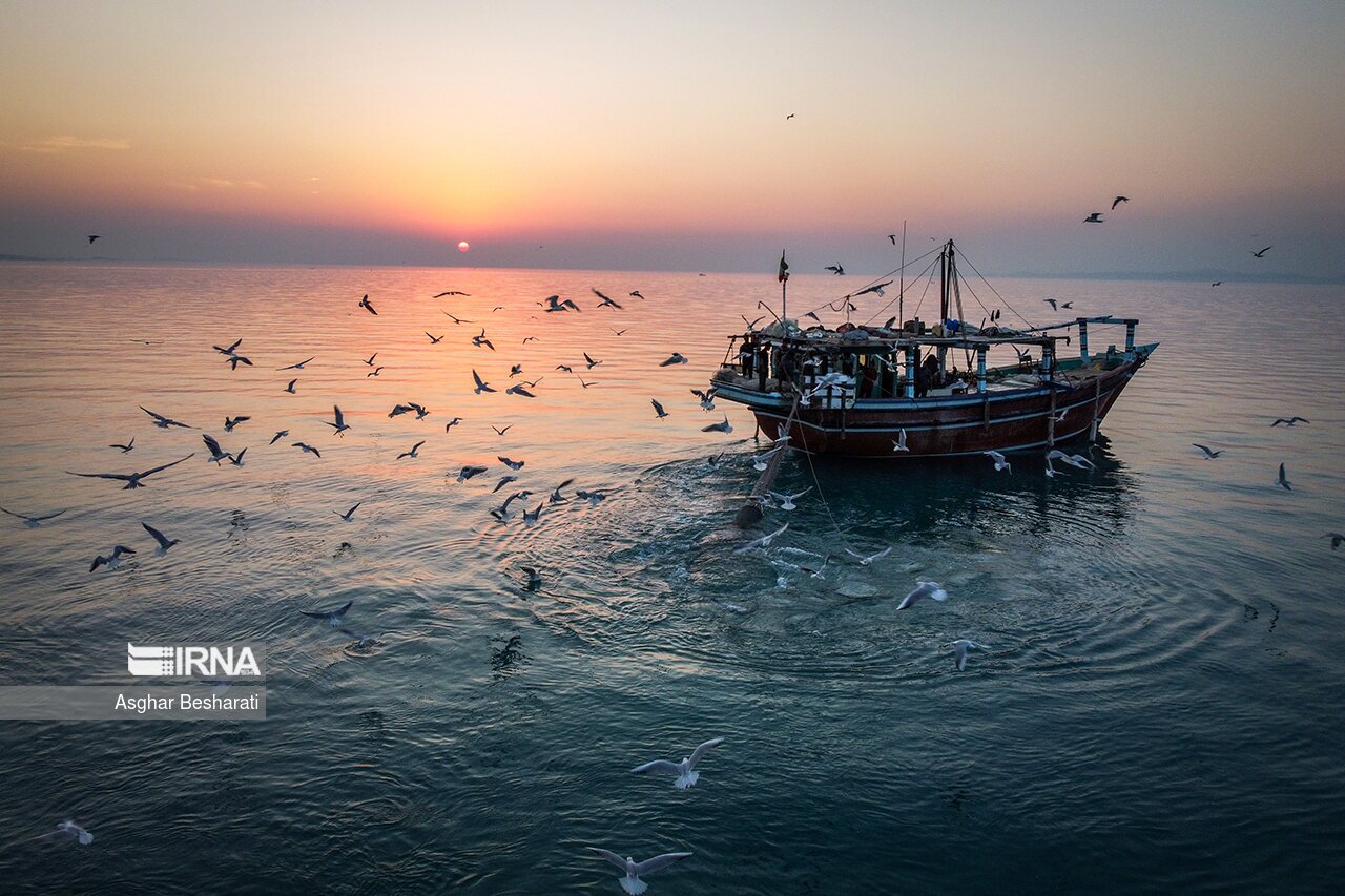تصاویر: خلیج همیشگی فارس