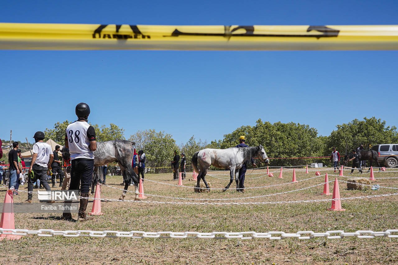 تصاویر: مسابقات سوارکاری استقامت
