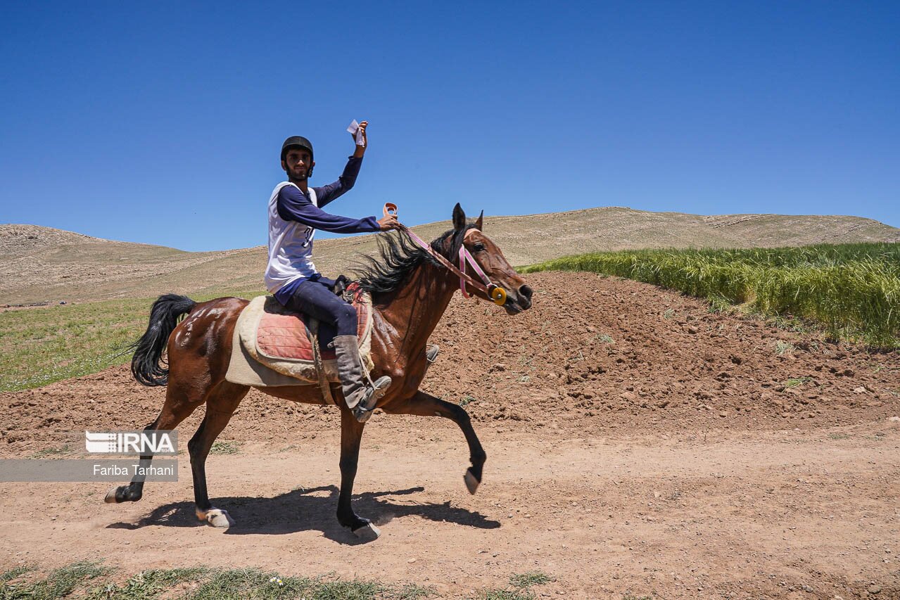 تصاویر: مسابقات سوارکاری استقامت