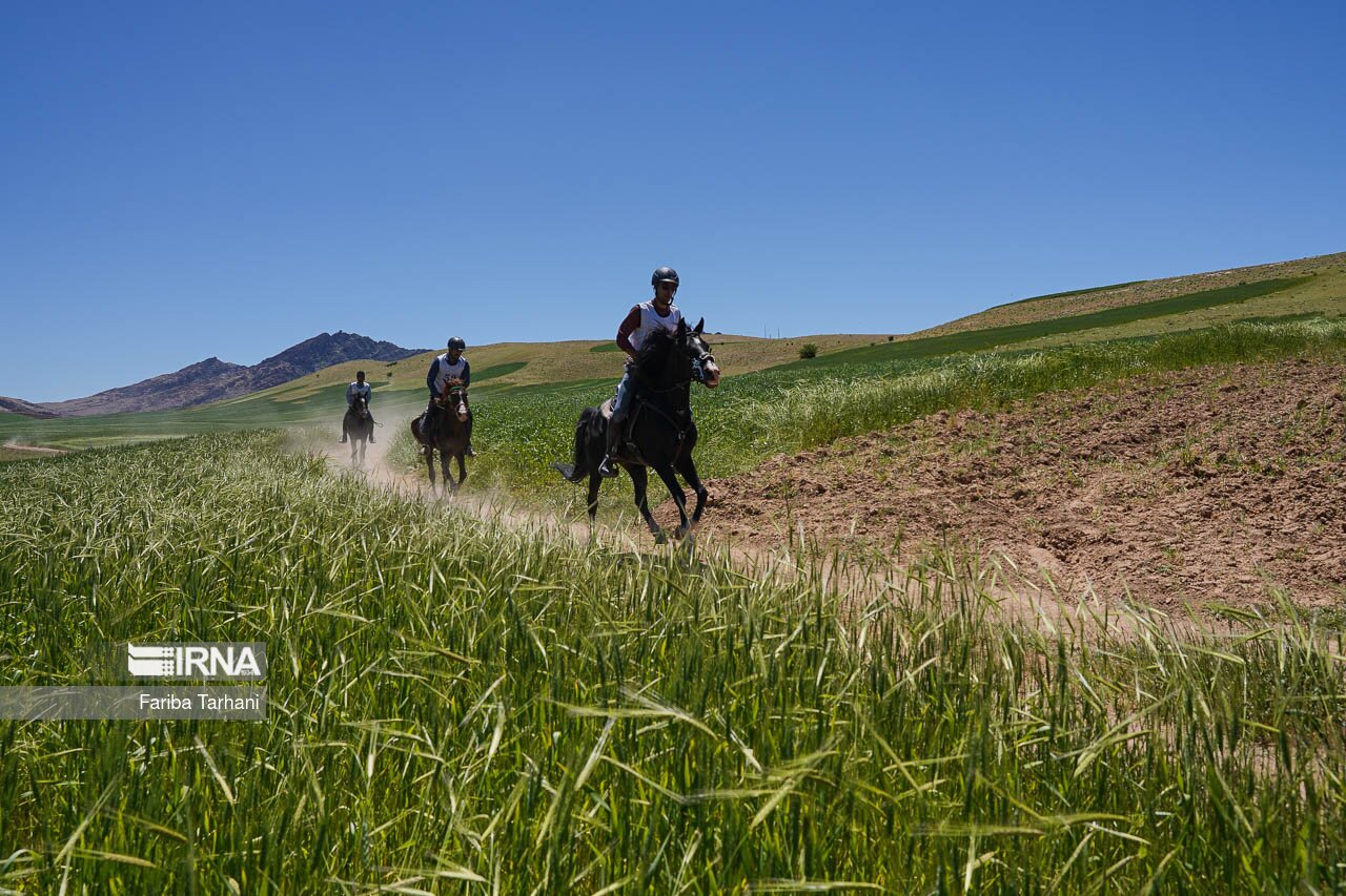 تصاویر: مسابقات سوارکاری استقامت