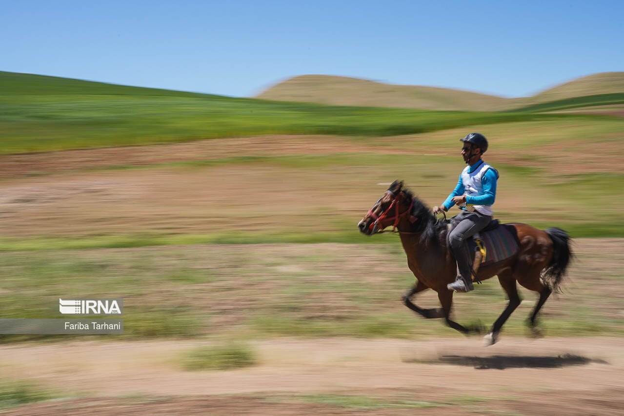تصاویر: مسابقات سوارکاری استقامت