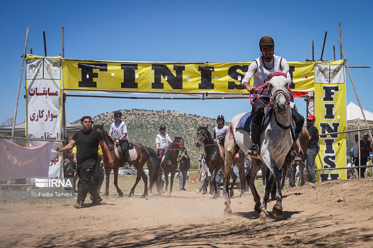 تصاویر: مسابقات سوارکاری استقامت