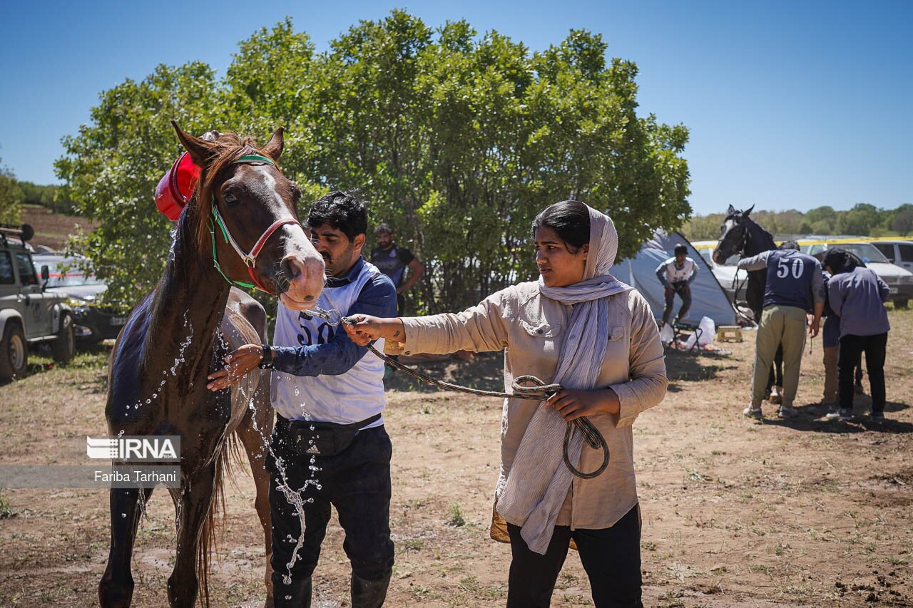 تصاویر: مسابقات سوارکاری استقامت