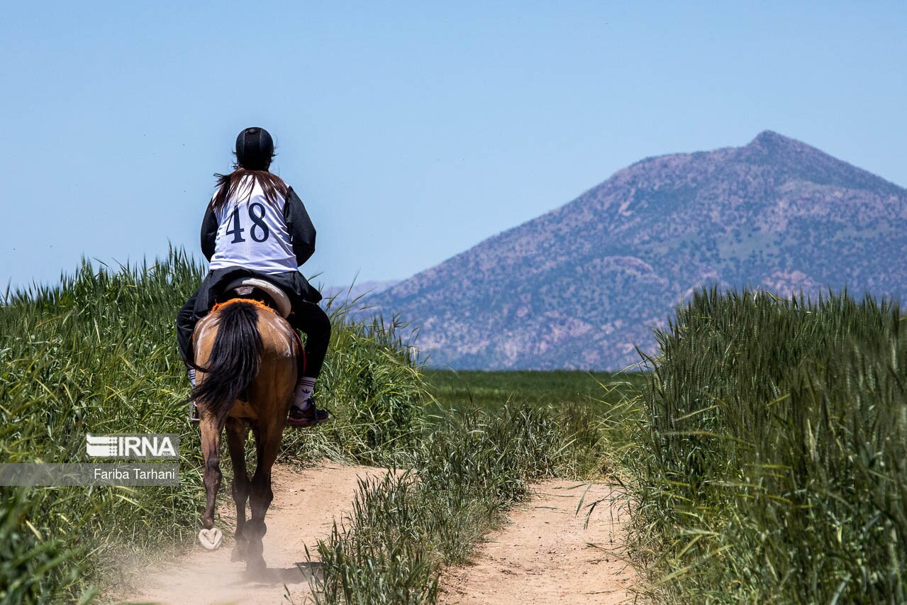 تصاویر: مسابقات سوارکاری استقامت
