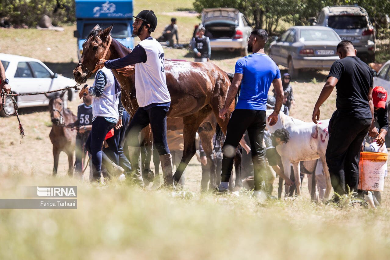 تصاویر: مسابقات سوارکاری استقامت