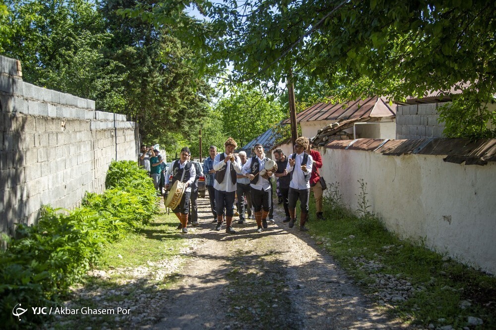 تصاویر: شادپیمایی گل محمدی و گلاب گیری در دودانگه ساری