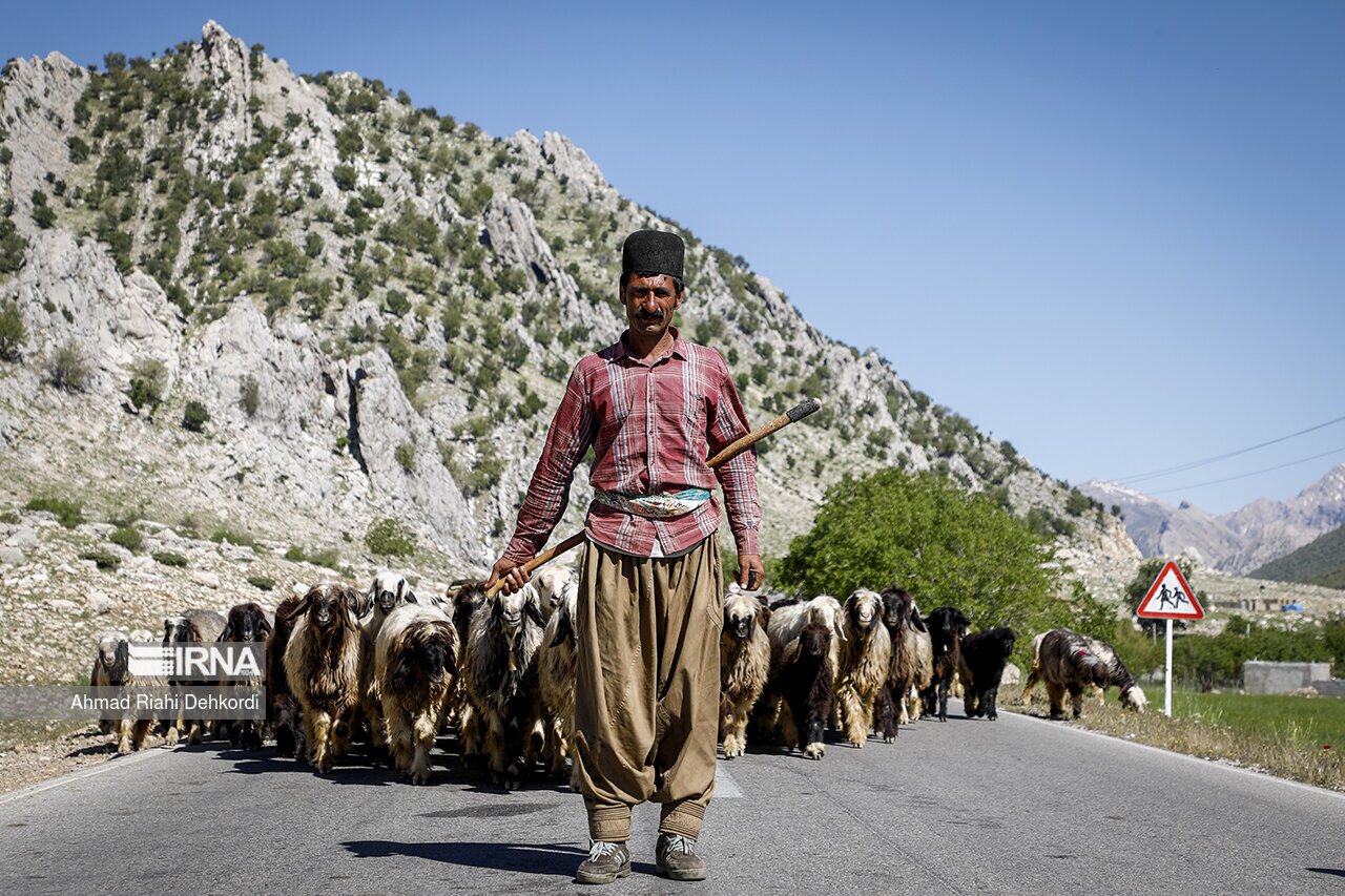 تصاویر: کوچ بهاره عشایر