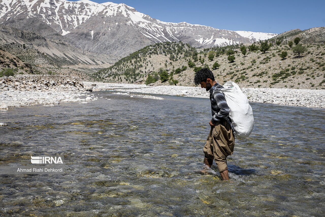 تصاویر: کوچ بهاره عشایر